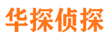 亭湖侦探公司